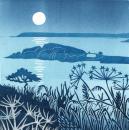 Full moon Burgh island